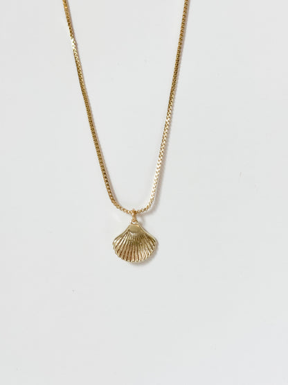 Shell Necklace