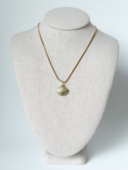 Shell Necklace